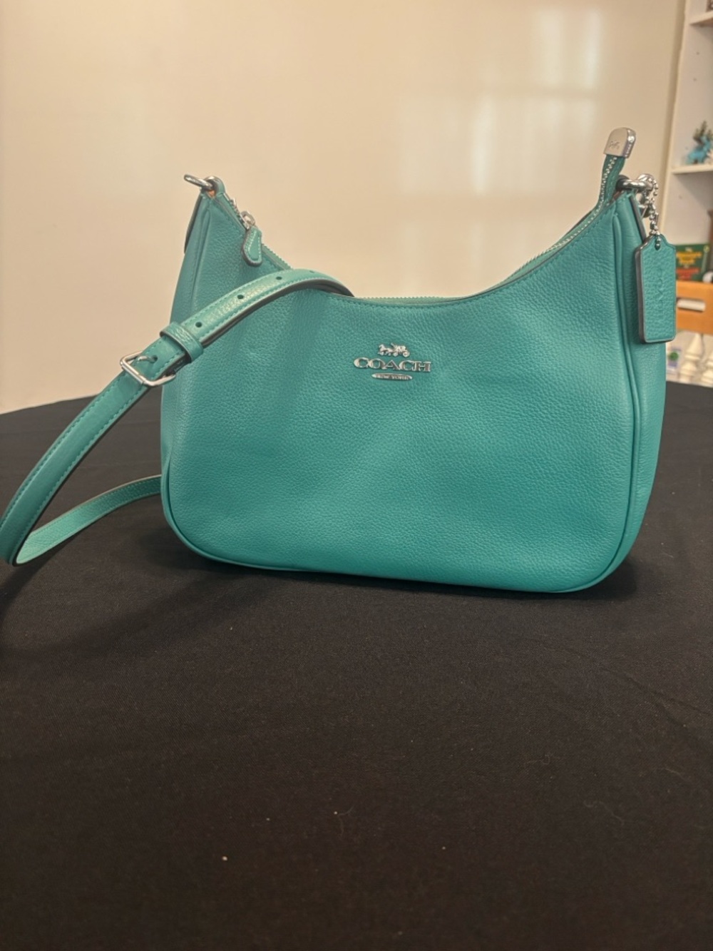 Coach Teal Leather Teri Hobo (Large) Shoulder Bag with Crossbody Strap - Picture 3 of 11